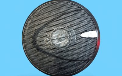ICE POWER SPEAKER 600W 6″