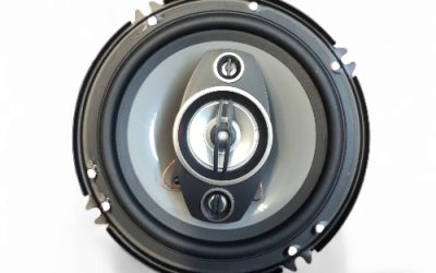 ICE POWER SPEAKER 500W 6″ 4WAY