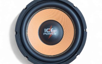 ICE POWER SUBWOOFER 12″ 9500W DVC