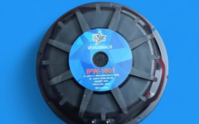 ICE POWER SUBWOOFER10″ 3000W DVC