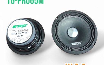 TARGA SPEAKER MIDRANGE RMS300W 6.5″