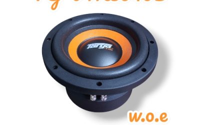 TARGA SUBWOOFER8″25000W D4 VENOM