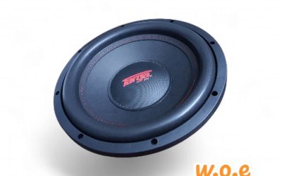 TARGA SUBWOOFER12″9500W D4 JIVE DVC