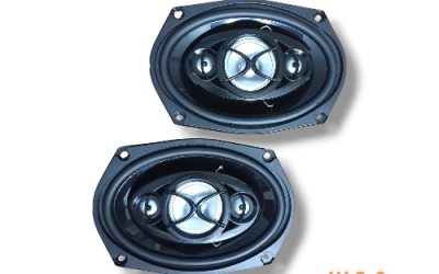 XTC SPEAKER1000W/500W FROZEN0.694 6X9