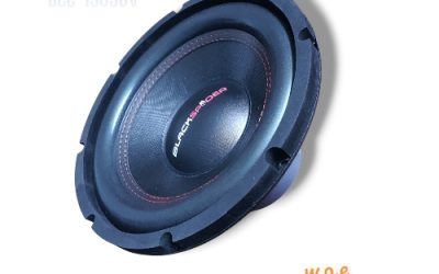 BLACKSPIDER SUB12″ 5000W D4 4-209