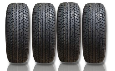 TYRE DUNLOP 17″ AT25 110H