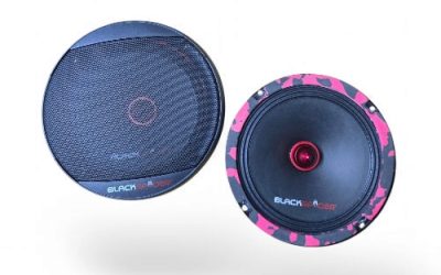 BLACKSPIDER SPEAKER 2500W MAX 6.5″ 4-109