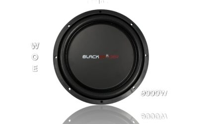 BLACKSPIDER FLAT SUBWOOFER10″9000W 4-114