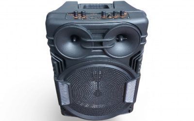 GREATNICE WIRELESS 12″ SPEAKER