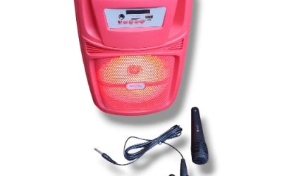 BIVOOB GREATNICE SPEAKER WITH KARAOKE 8″