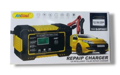 ANDOWL REPAIP CHARGER 12V24H-100AH
