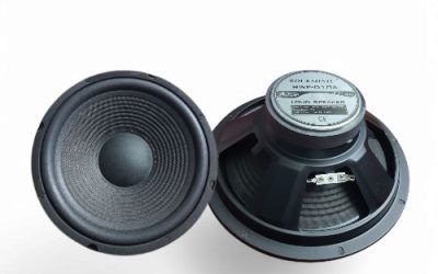 ROCKSONIC SPEAKER10″1000WMAX100WRMS