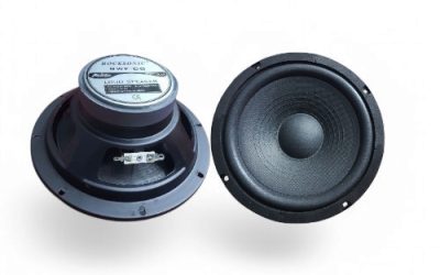 ROCKSONIC SPEAKER8″1000WMAX80WRMS