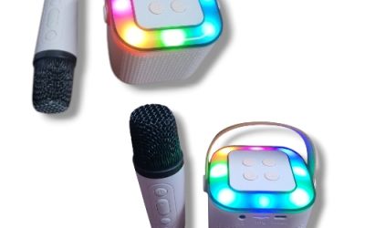 WIRELESS KARAOKE SPEAKERS Y1-GR77