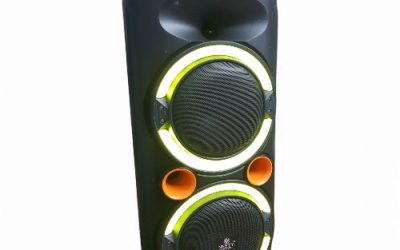 NESTY PARTY SPEAKER 60W RMS