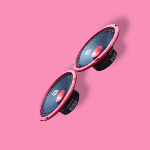 ICE POWER SPEAKER 800W 6.5" 3WAY MIDRANG